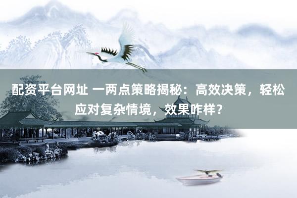 配资平台网址 一两点策略揭秘：高效决策，轻松应对复杂情境，效果咋样？