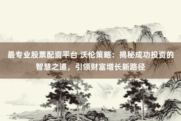 最专业股票配资平台 沃伦策略：揭秘成功投资的智慧之道，引领财富增长新路径