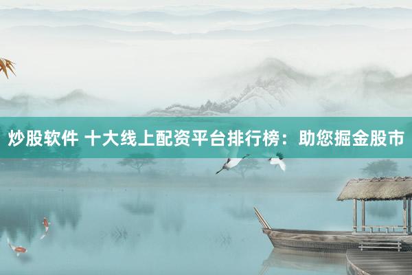 炒股软件 十大线上配资平台排行榜：助您掘金股市