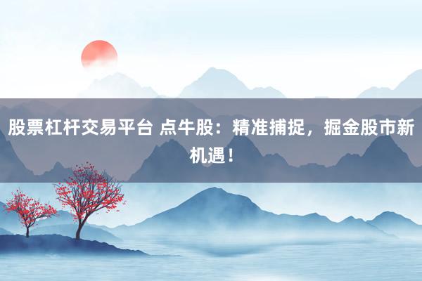 股票杠杆交易平台 点牛股：精准捕捉，掘金股市新机遇！