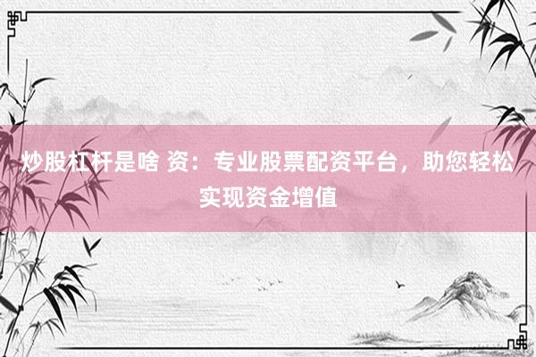 炒股杠杆是啥 资：专业股票配资平台，助您轻松实现资金增值