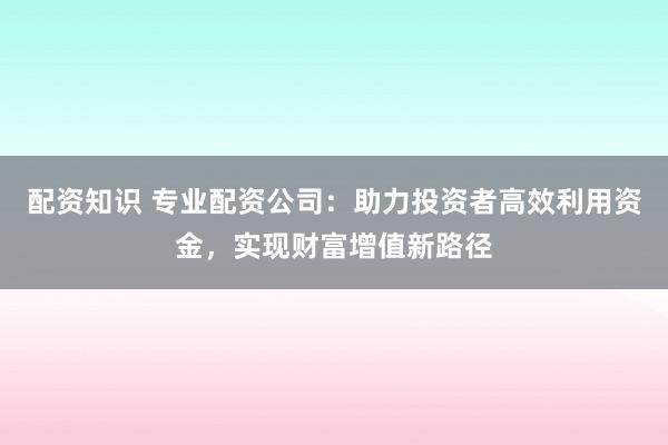 配资知识 专业配资公司：助力投资者高效利用资金，实现财富增值新路径
