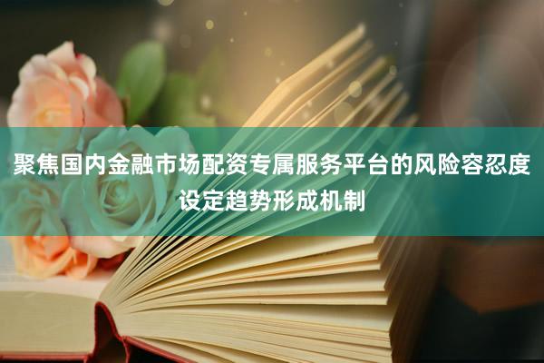 聚焦国内金融市场配资专属服务平台的风险容忍度设定趋势形成机制