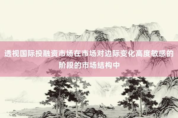 透视国际投融资市场在市场对边际变化高度敏感的阶段的市场结构中
